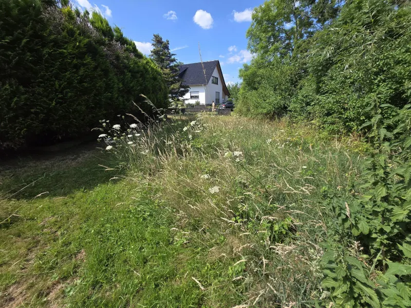 Ansicht Richtung Straße