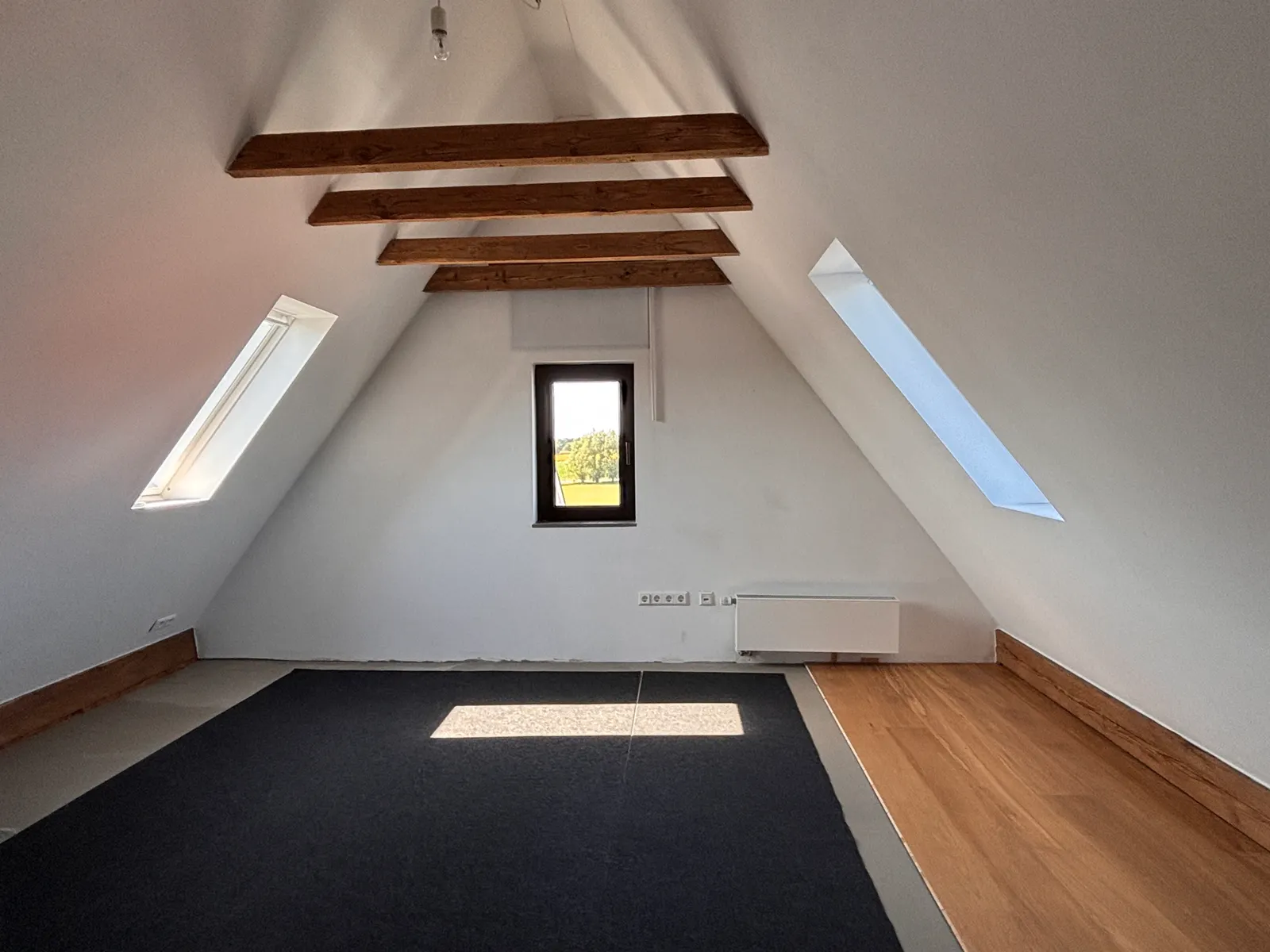 Nutzfläche DG