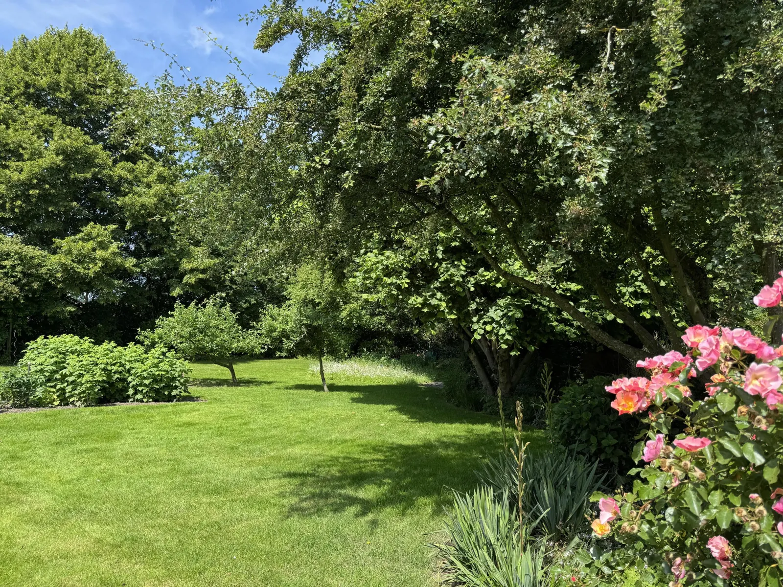 Baugrundstück