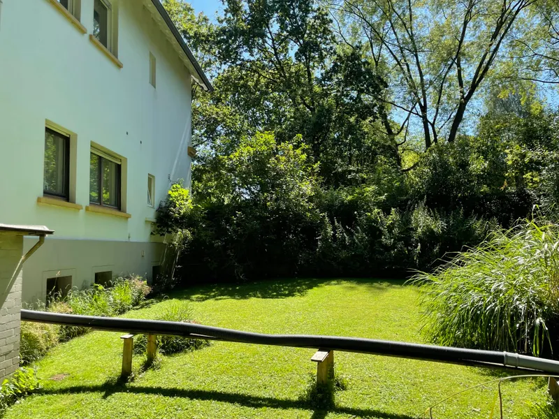 Westansicht / Garten