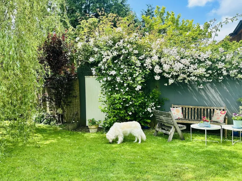 Garten