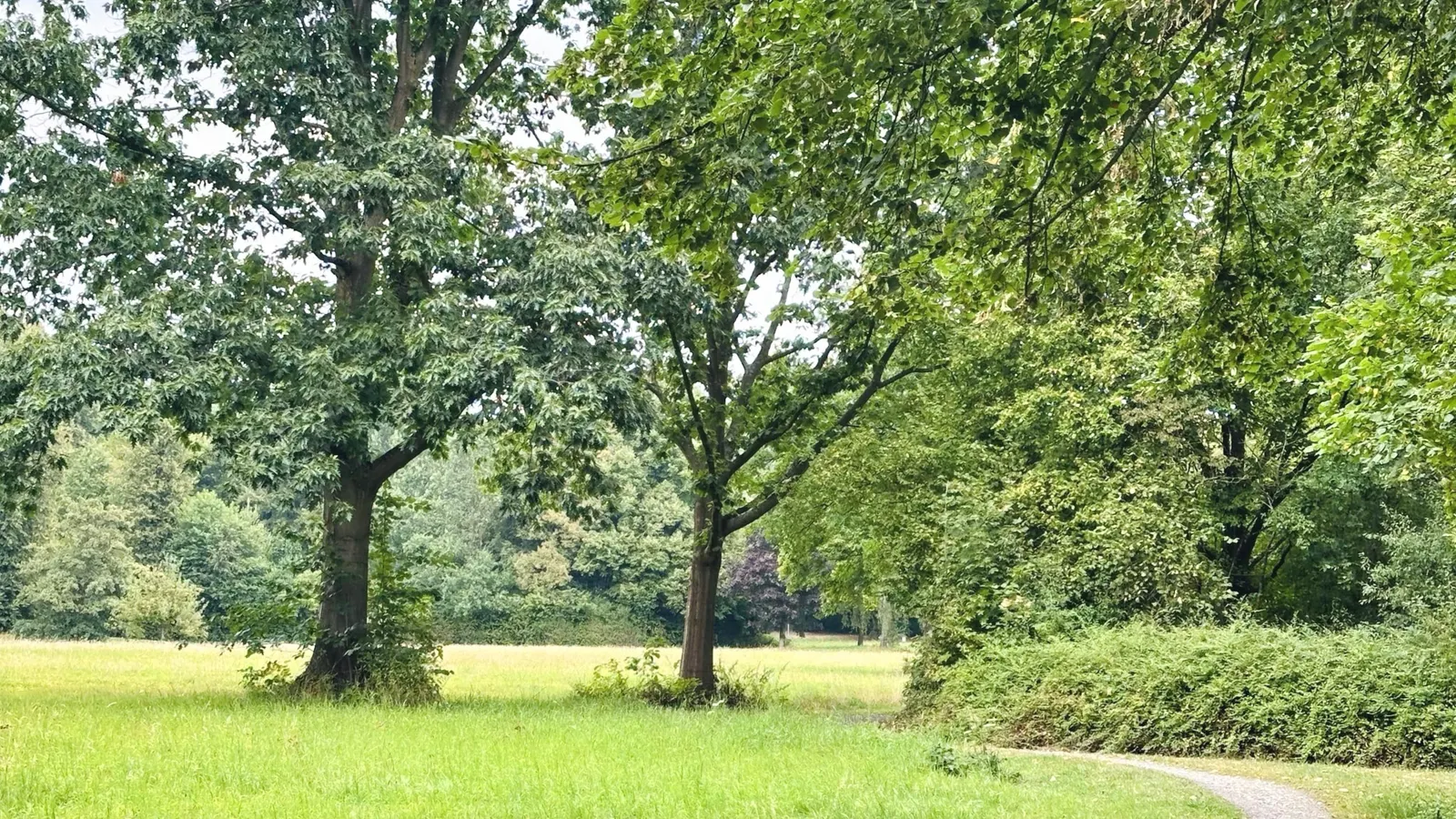 Waldzugang