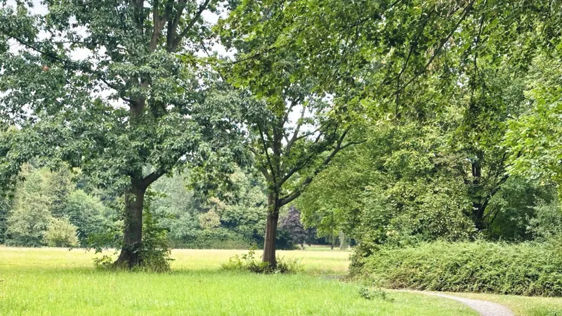 Waldzugang