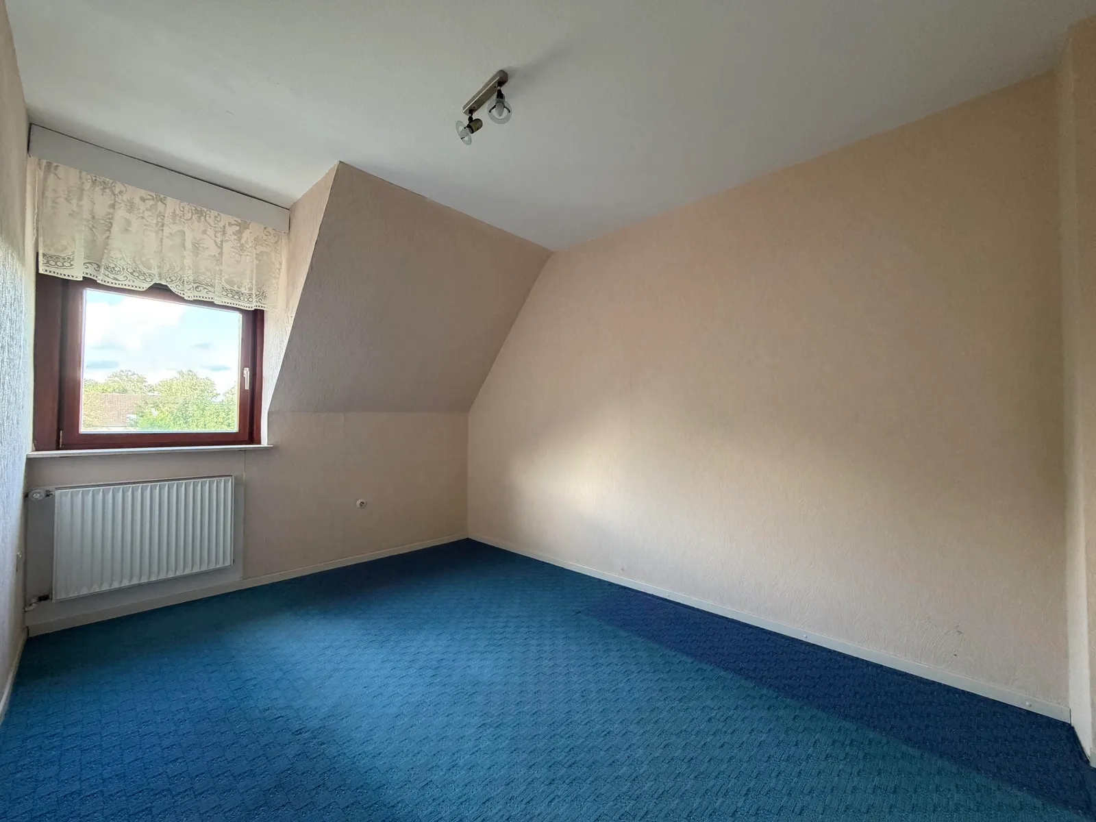 Zimmer DG