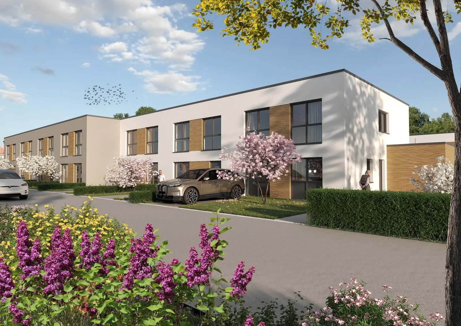 Ansicht