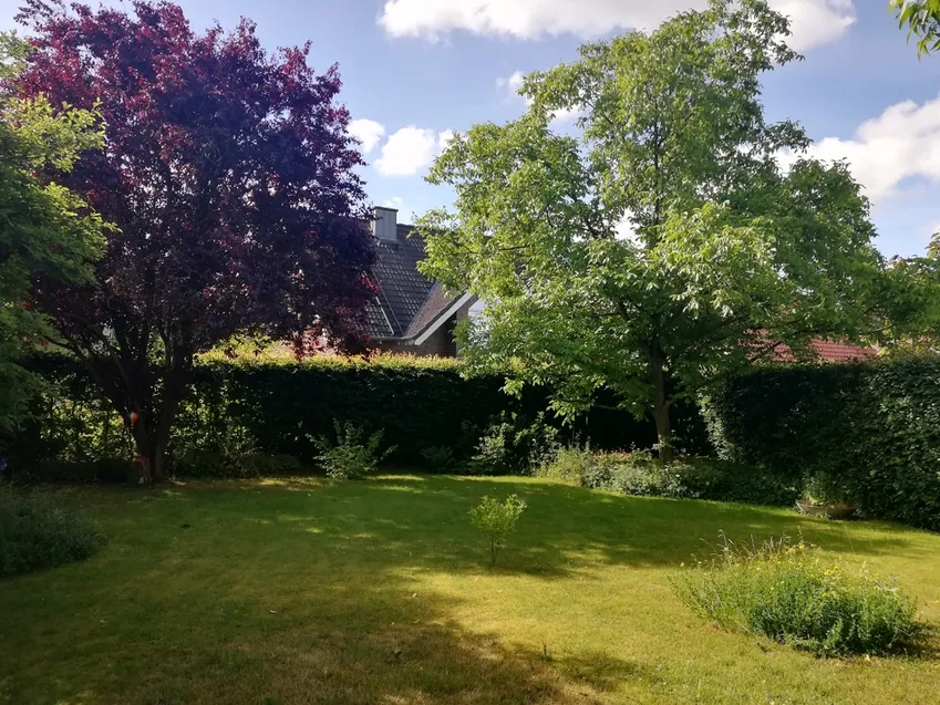 Blick von der Terrasse in den Garten