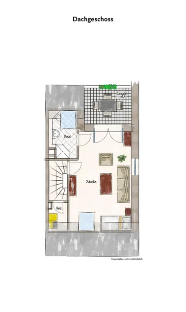 DG Plan
