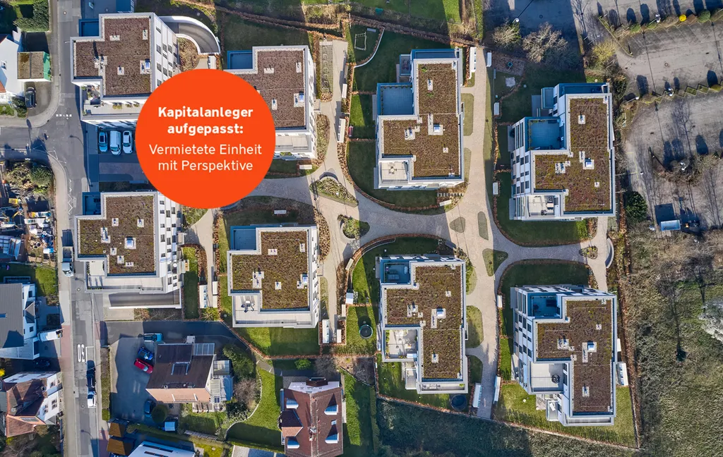 header-Oberursel-Störer