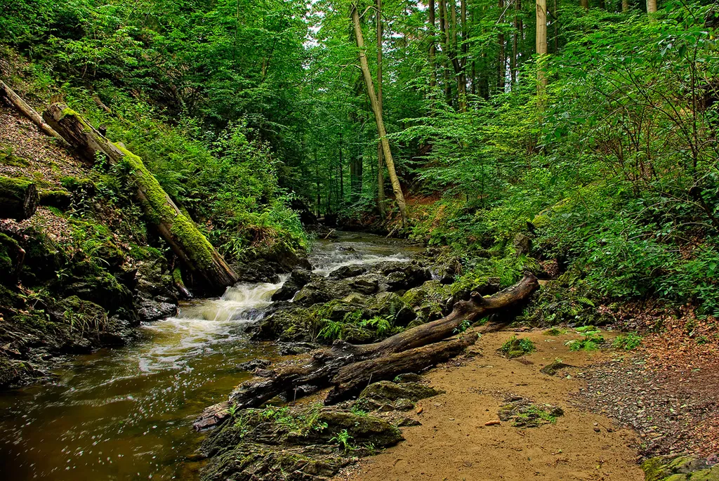 header-Prießnitzgrund