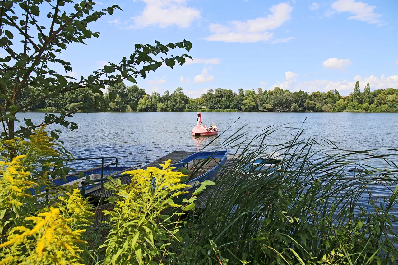 header-bildlexikon-leipzig_16-Leipzig-Auensee-BILDLEXIKON-LEIPZIG-Stadtgeschichte-Foto_Original (kommerz. Nutzung)_9dbb4c88_