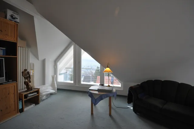 Zimmer DG