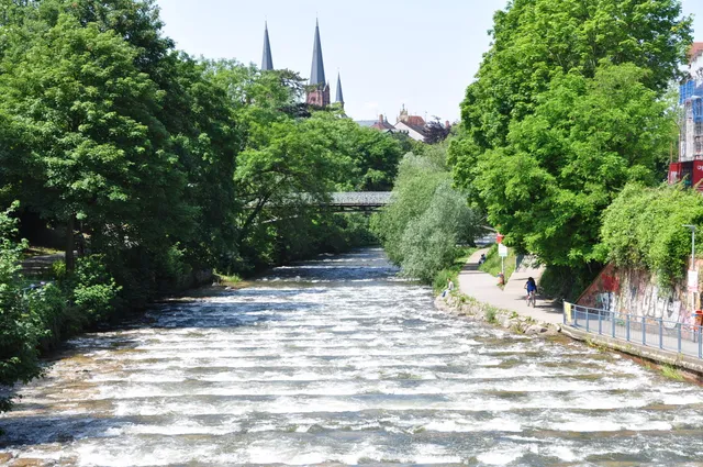 in der Nachbarschaft der Fluss Dreisam