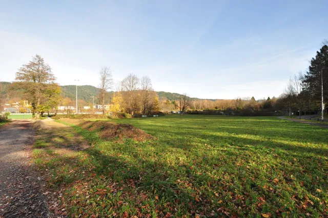 naturnahe Lage - Dreisamtal