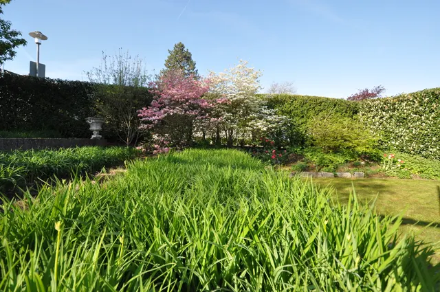 Gartenimpression