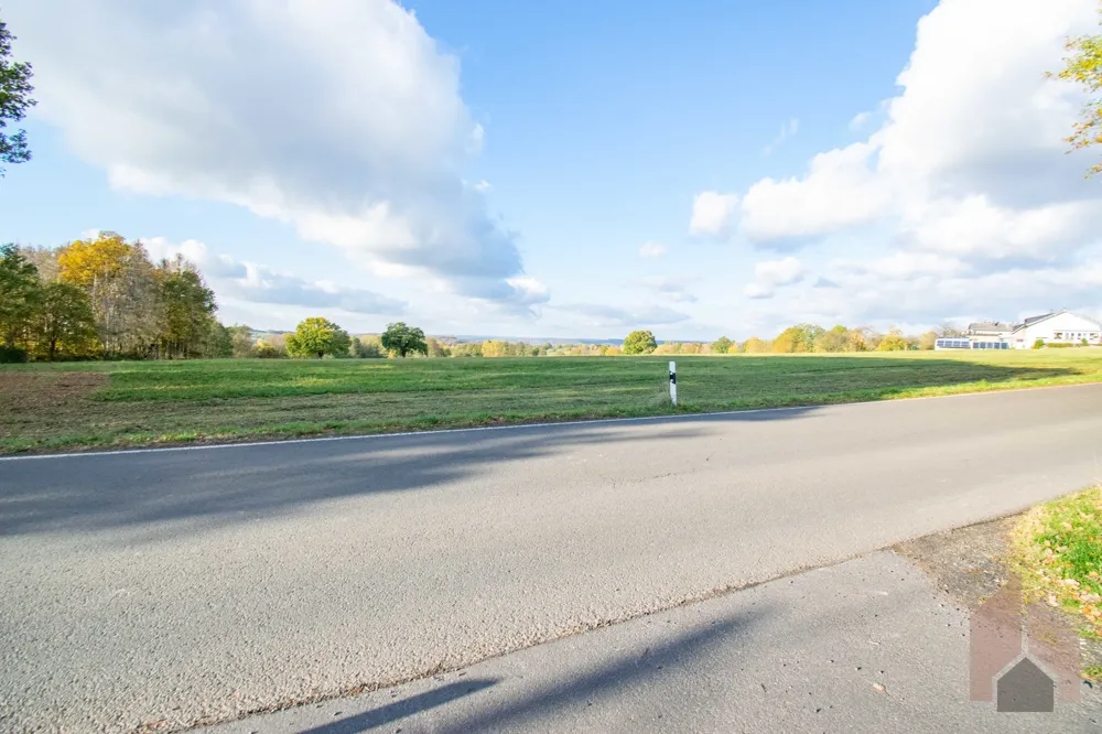 Ausblick Straße