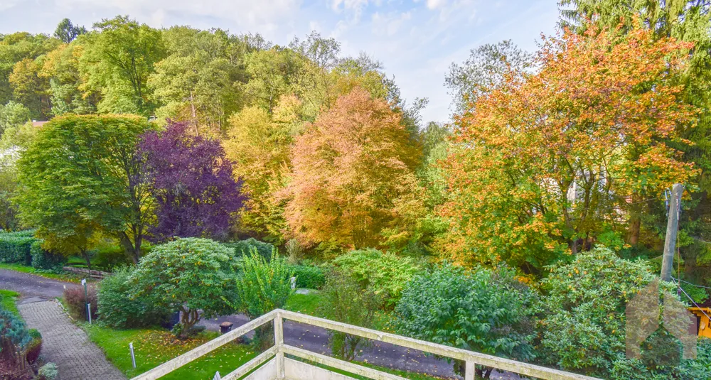 WE 4 Ausblick Balkon