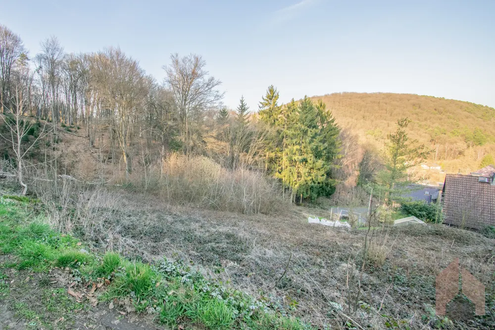 Ausblick Richtung Nord-Westen