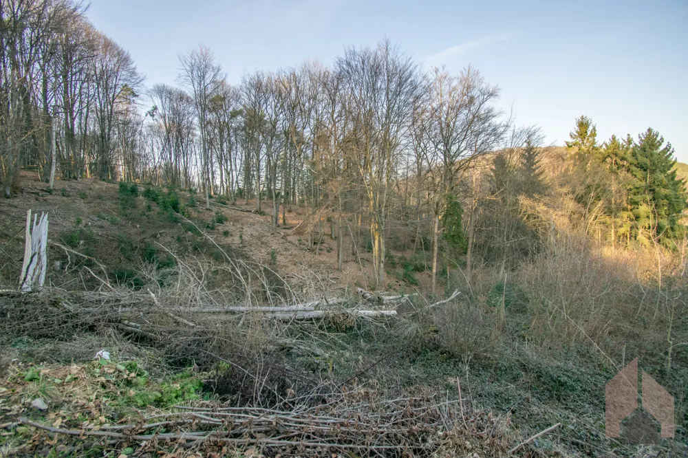 Ausblick Richtung Norden