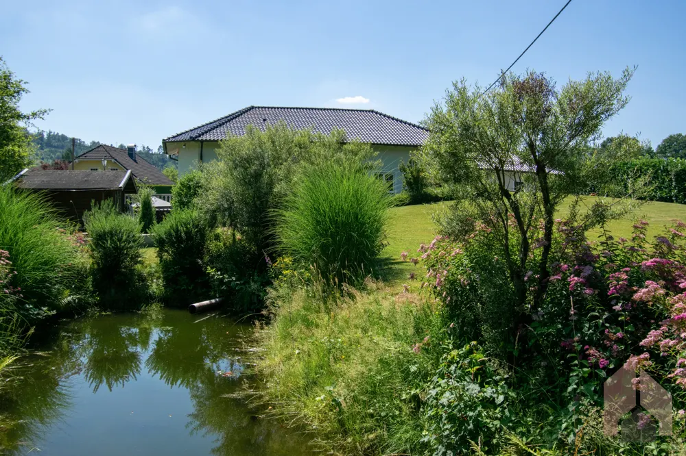 Teich