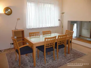 2 Zi.Whg., möbliert, EG mit Garten