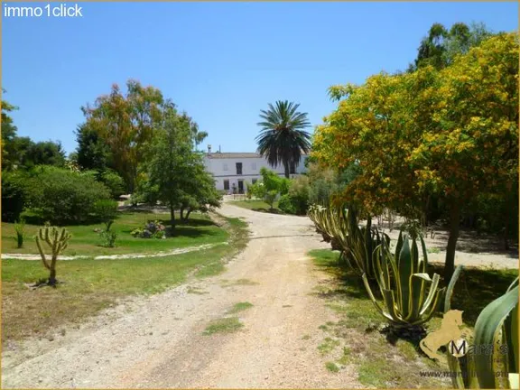 Cortijo-Finca, Landhaus mit Gästeapartments, Arcos, Cadiz zu verkaufen