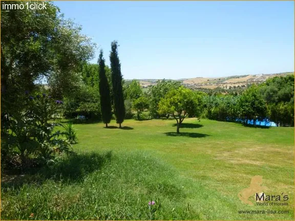 Cortijo-Finca, Landhaus mit Gästeapartments, Arcos, Cadiz zu verkaufen