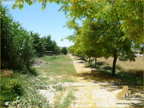 Cortijo-Finca, Landhaus mit Gästeapartments, Arcos, Cadiz zu verkaufen