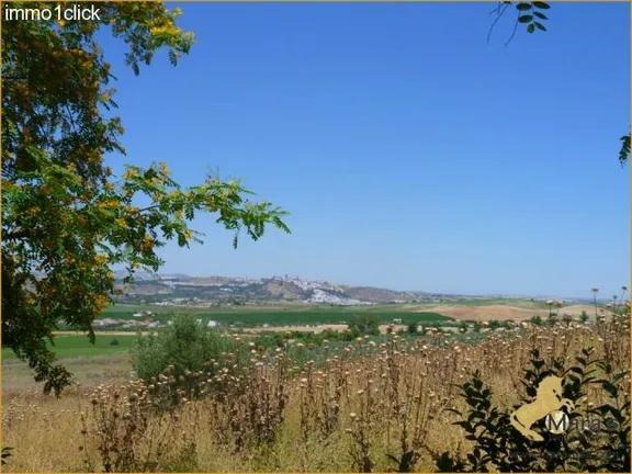 Cortijo-Finca, Landhaus mit Gästeapartments, Arcos, Cadiz zu verkaufen