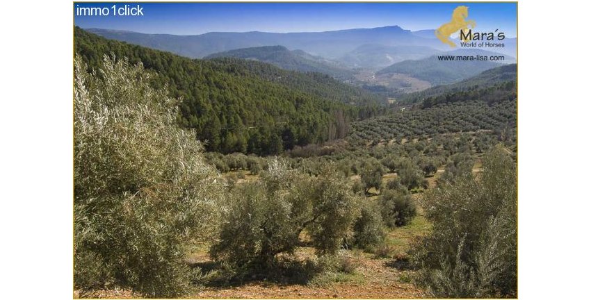 Finca mit Jagdgebiet, Cortijo, zu verkaufen, Provinz Jaen, Andalusien