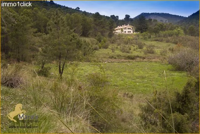 Finca mit Jagdgebiet, Cortijo, zu verkaufen, Provinz Jaen, Andalusien