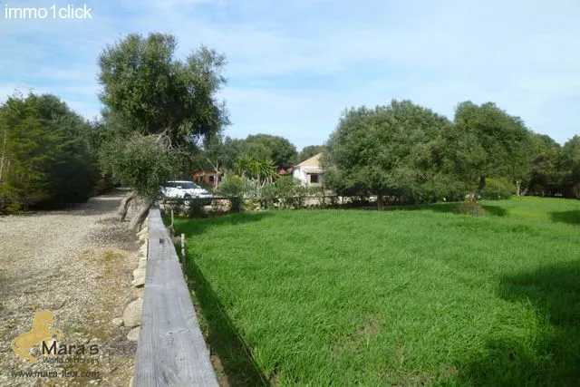 Finca mit Vermiet-Holzhäusern, Apartments, Ferienvermietung zu verkaufen Vejer de la Frontera, El Palmar, Costa de la Luz, Andalusien