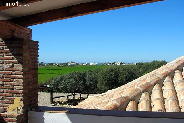 Finca mit Vermiet-Holzhäusern, Apartments, Ferienvermietung zu verkaufen Vejer de la Frontera, El Palmar, Costa de la Luz, Andalusien