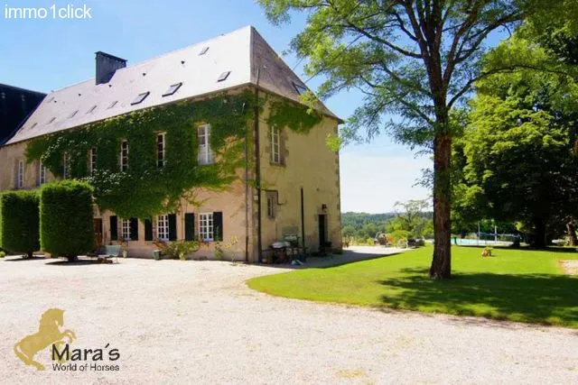 suche Schloss, Chateau zu verkaufen in Frankreich, Limousin, Limoges