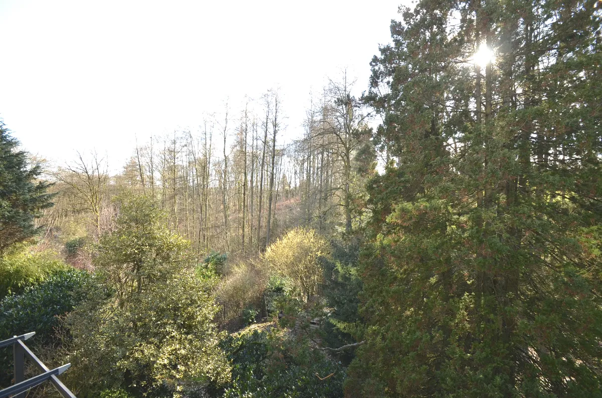 Blick vom Balkon