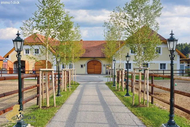 Luxus Reitanwesen, Reiterhof, Gestüt, Ober-Österreich, Linz, zu verkaufen
 