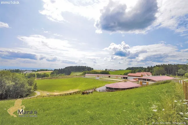 luxury horseproperty, equestrian property, studfarm, for sale, Austria, Linz