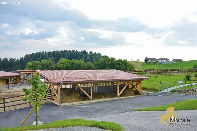 Luxus Reitanwesen, Reiterhof, Gestüt, Ober-Österreich, Linz, zu verkaufen
 