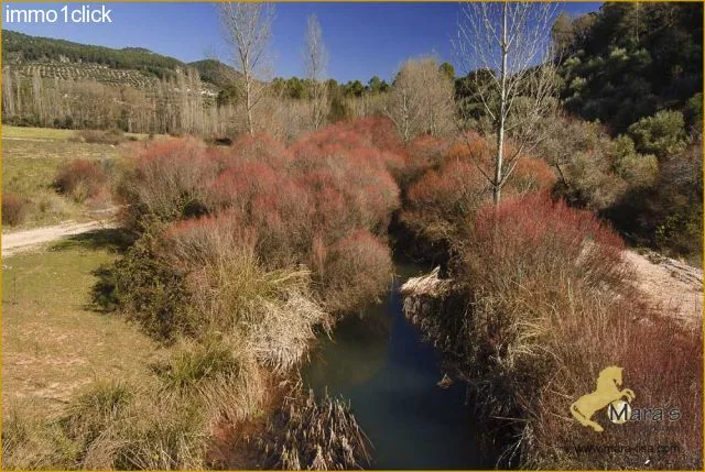 Finca mit Jagdgebiet, Cortijo, zu verkaufen, Provinz Jaen, Andalusien