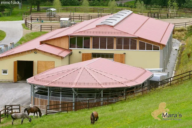 Luxus Reitanwesen, Reiterhof, Gestüt, Ober-Österreich, Linz, zu verkaufen
