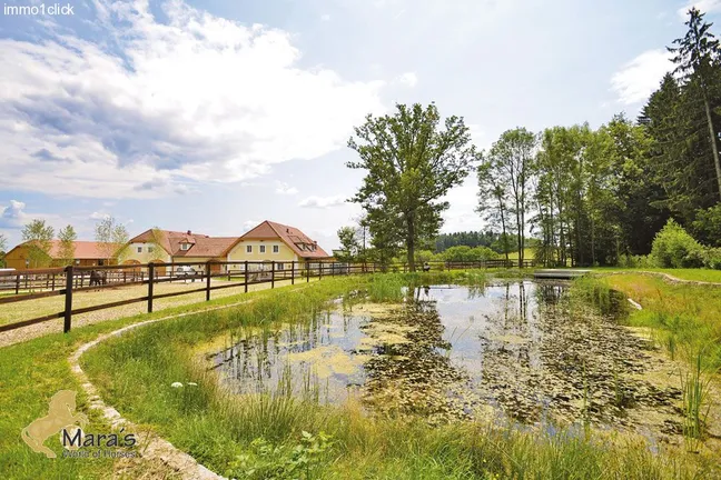 Luxus Reitanwesen, Reiterhof, Gestüt, Ober-Österreich, Linz, zu verkaufen
 