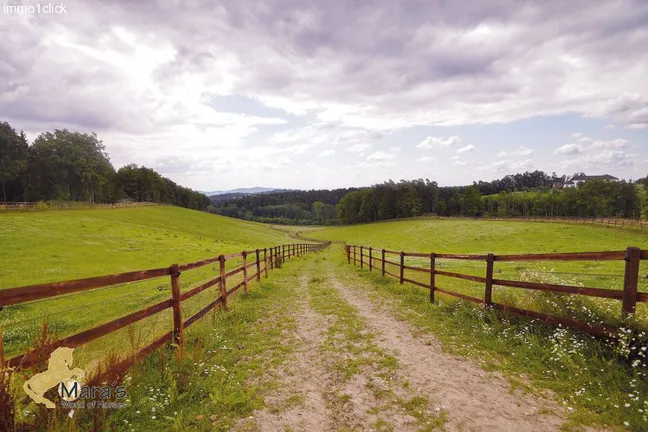 Luxus Reitanwesen, Reiterhof, Gestüt, Ober-Österreich, Linz, zu verkaufen
