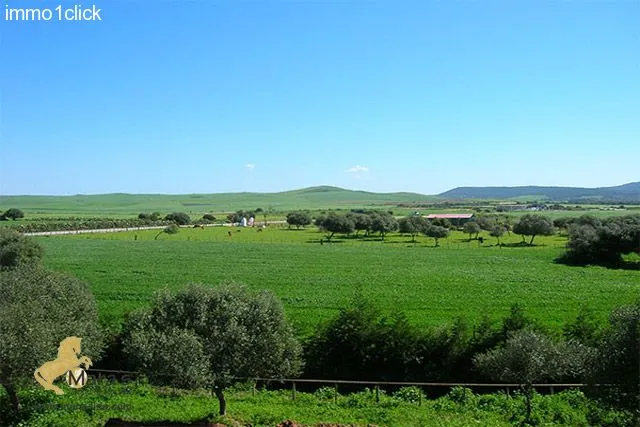 Finca mit Vermiet-Holzhäusern, Apartments, Ferienvermietung zu verkaufen Vejer de la Frontera, El Palmar, Costa de la Luz, Andalusien