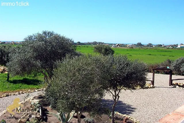 Finca mit Vermiet-Holzhäusern, Apartments, Ferienvermietung zu verkaufen Vejer de la Frontera, El Palmar, Costa de la Luz, Andalusien