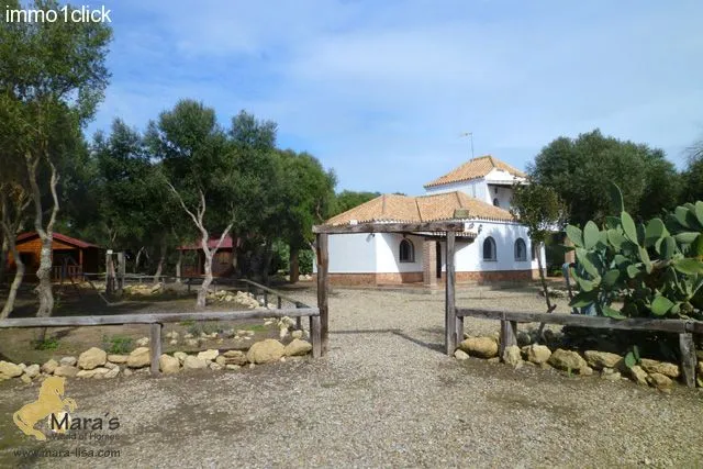 Finca mit Vermiet-Holzhäusern, Apartments, Ferienvermietung zu verkaufen Vejer de la Frontera, El Palmar, Costa de la Luz, Andalusien