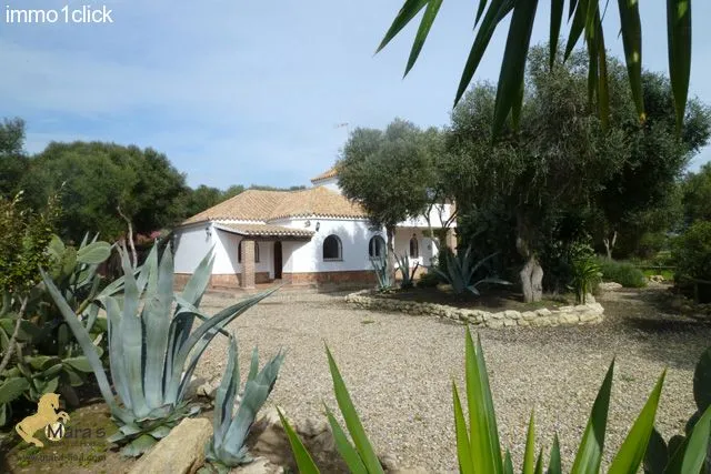 Finca mit Vermiet-Holzhäusern, Apartments, Ferienvermietung zu verkaufen Vejer de la Frontera, El Palmar, Costa de la Luz, Andalusien