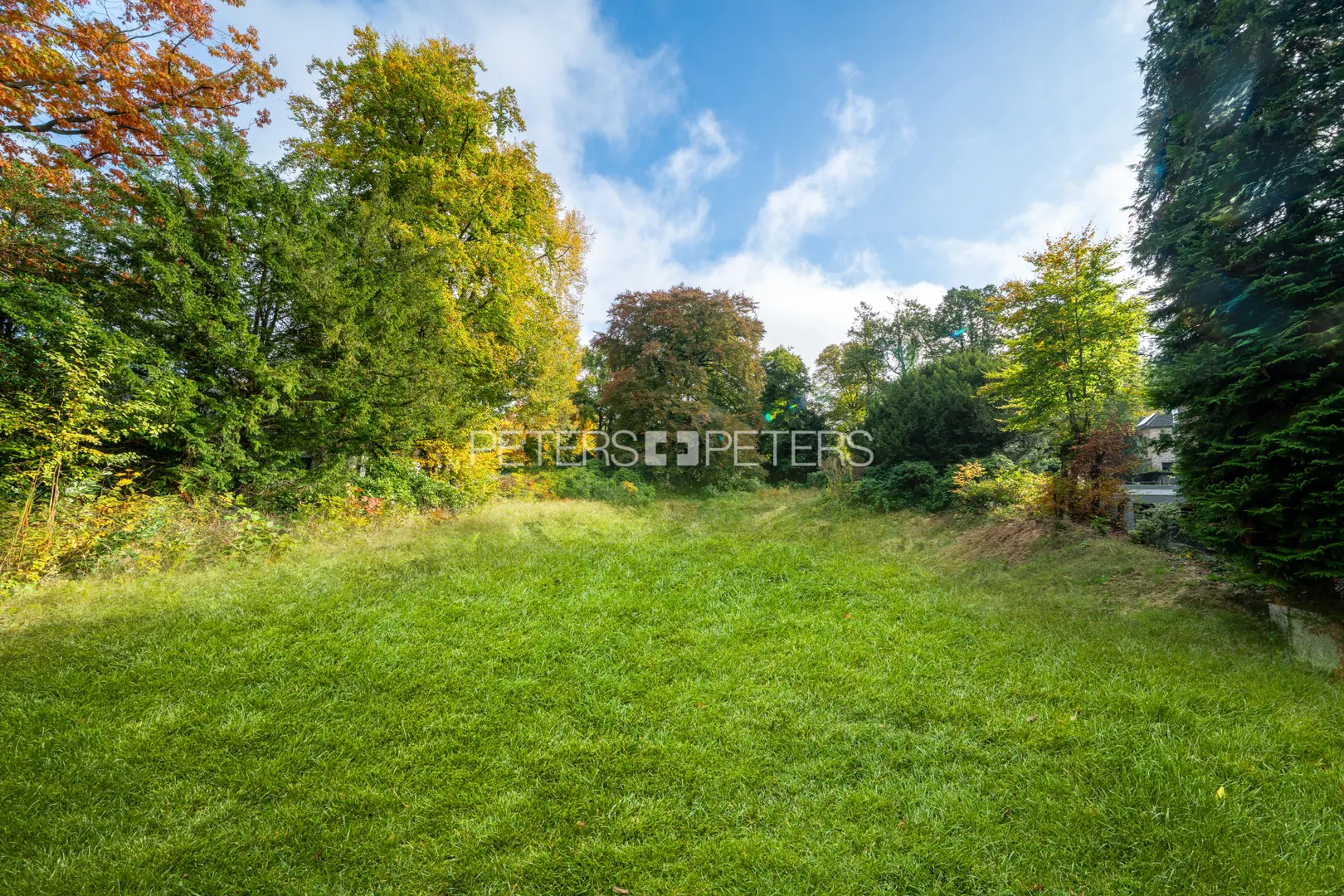 Real Estate Title Image Background