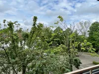 Blick vom Balkon