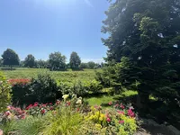 Blick in Garten