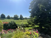 Blick in Garten