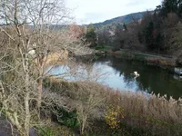 Wohnen am Stadtrainsee